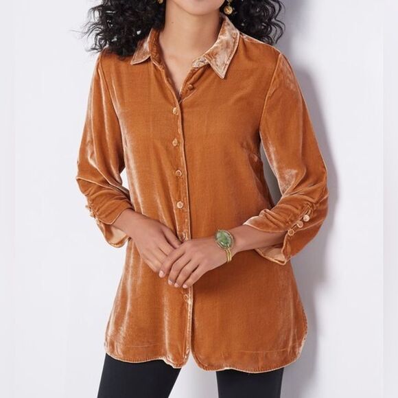 Soft Surroundings Topaz Icon Silk Blend Velvet Poets Blouse Size Large - Picture 1 of 16